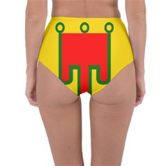 Reversible High-Waist Bikini Bottoms 