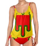 Auvergne Flag Tankini Set