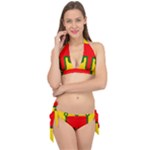 Auvergne Flag Tie It Up Bikini Set