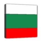 Bulgaria Mini Canvas 8  x 8  (Stretched)