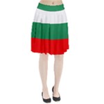 Bulgaria Pleated Skirt