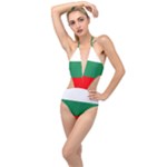Bulgaria Plunging Cut Out Swimsuit