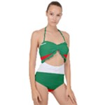 Bulgaria Scallop Top Cut Out Swimsuit