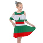 Bulgaria Kids  Shoulder Cutout Chiffon Dress