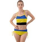 Gelderland Flag Mini Tank Bikini Set