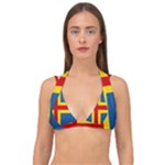 Aaland Double Strap Halter Bikini Top