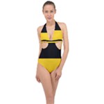 Baden Wurttemberg Flag Halter Front Plunge Swimsuit