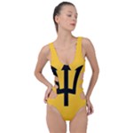 Barbados Side Cut Out Swimsuit
