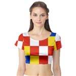 Antwerp Flag Short Sleeve Crop Top