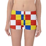 Antwerp Flag Boyleg Bikini Bottoms