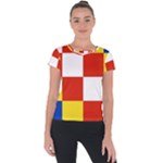 Antwerp Flag Short Sleeve Sports Top 