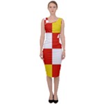 Antwerp Flag Sleeveless Pencil Dress