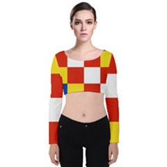 Velvet Long Sleeve Crop Top 