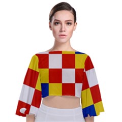 Tie Back Butterfly Sleeve Chiffon Top 