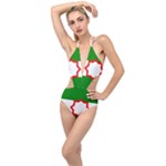 Andalusia Flag Plunging Cut Out Swimsuit