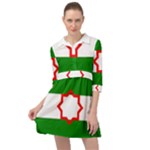 Andalusia Flag Mini Skater Shirt Dress