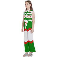 Kids  Sleeveless Ruffle Edge Band Collar Chiffon One Piece 
