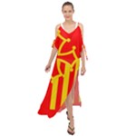 Languedoc Roussillon Flag Maxi Chiffon Cover Up Dress