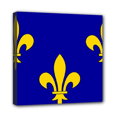 Ile De France Flag Mini Canvas 8  x 8  (Stretched) from UrbanLoad.com
