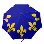 Ile De France Flag Folding Umbrellas