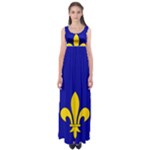 Ile De France Flag Empire Waist Maxi Dress