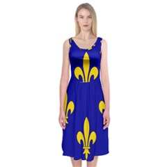 Ile De France Flag Midi Sleeveless Dress from UrbanLoad.com
