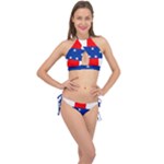 Netherlands Antilles Cross Front Halter Bikini Set