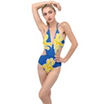 Brussels Plunging Cut Out Swimsuit