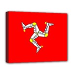 Isle Of Man Deluxe Canvas 20  x 16  (Stretched)