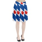 Frisian Flag Pleated Skirt