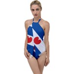 Frisian Flag Go with the Flow One Piece Swimsuit