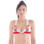 French Polynesia Plunge Bikini Top