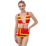 Normandy Flag Tied Up Two Piece Swimsuit