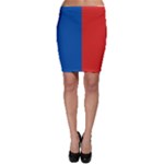 Paris Bodycon Skirt