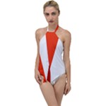 Derry Flag Go with the Flow One Piece Swimsuit