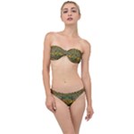 Fishes Admires All Freedom In The World And Feelings Of Security Classic Bandeau Bikini Set