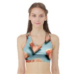Watermelon Against Blue Surface Pattern Sports Bra with Border