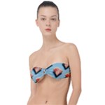 Watermelon Against Blue Surface Pattern Classic Bandeau Bikini Top 