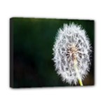 White Flower Canvas 10  x 8  (Stretched)