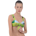Mother And Daughter Y Front Tie Bikini Top