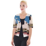  Us ventag eagles Travel Poster Graphic Style Redbleuwhite  Cropped Button Cardigan