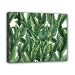 Green banana leaves Canvas 10  x 8  (Stretched)