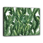 Green banana leaves Canvas 16  x 12  (Stretched)