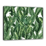 Green banana leaves Canvas 20  x 16  (Stretched)