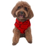 Red Background Wallpaper Dog Sweater