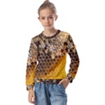 Honeycomb With Bees Kids  Long Sleeve T-Shirt with Frill 