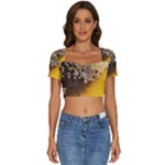Honeycomb With Bees Short Sleeve Square Neckline Crop Top 