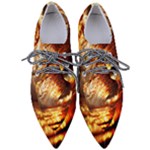 Wave Art Mood Water Sea Beach Pointed Oxford Shoes