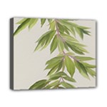 Watercolor Leaves Branch Nature Plant Growing Still Life Botanical Study Canvas 10  x 8  (Stretched)