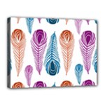 Pen Peacock Colors Colored Pattern Canvas 16  x 12  (Stretched)